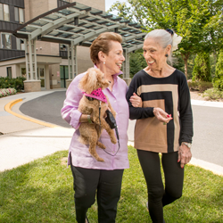 residents walking outside with a dog