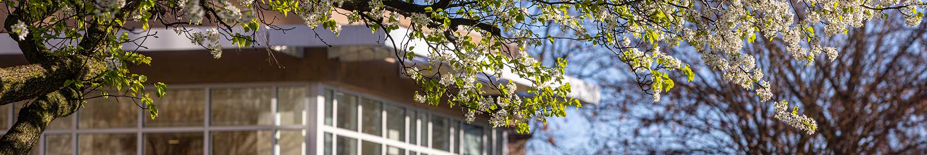 building exterior in the spring